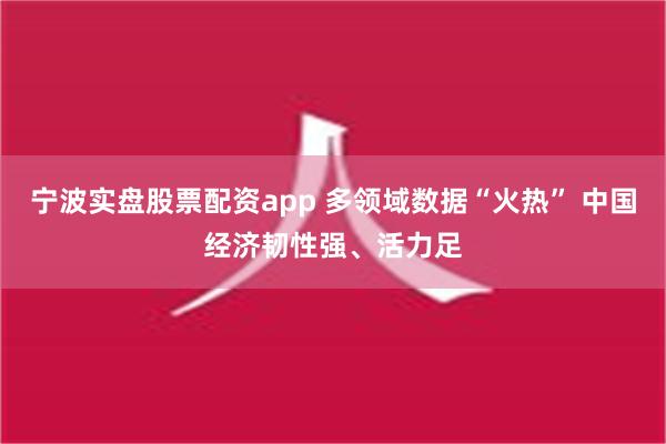 宁波实盘股票配资app 多领域数据“火热” 中国经济韧性强、活力足