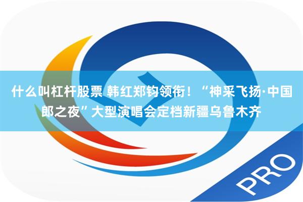 什么叫杠杆股票 韩红郑钧领衔！“神采飞扬·中国郎之夜”大型演唱会定档新疆乌鲁木齐