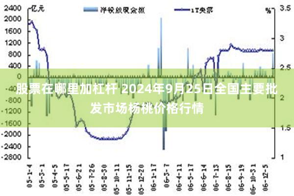 股票在哪里加杠杆 2024年9月25日全国主要批发市场杨桃价格行情