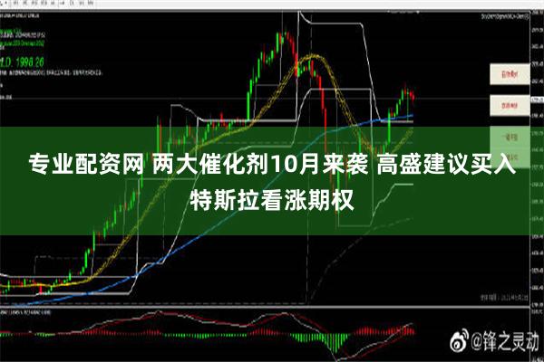 专业配资网 两大催化剂10月来袭 高盛建议买入特斯拉看涨期权