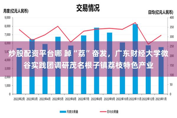 炒股配资平台哪 踔“荔”奋发，广东财经大学微谷实践团调研茂名根子镇荔枝特色产业