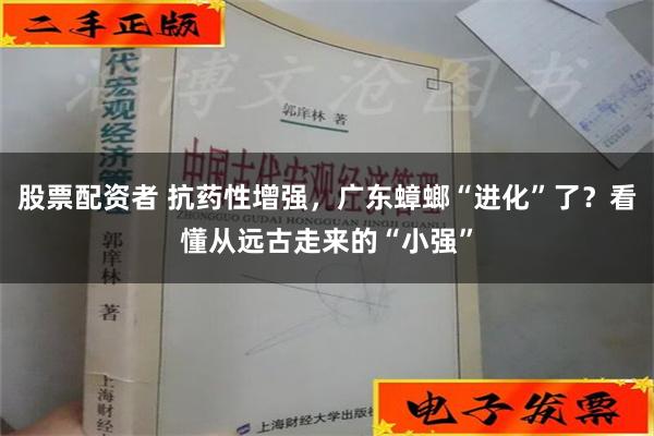 股票配资者 抗药性增强，广东蟑螂“进化”了？看懂从远古走来的“小强”