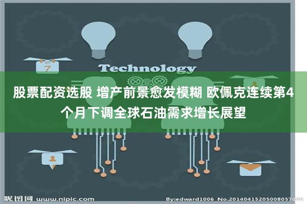 股票配资选股 增产前景愈发模糊 欧佩克连续第4个月下调全球石油需求增长展望