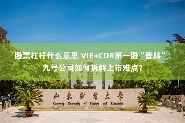 股票杠杆什么意思 VIE+CDR第一股“登科”：九号公司如何拆解上市难点？