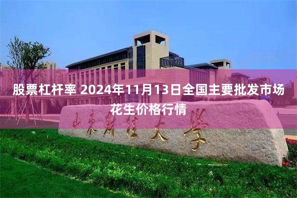 股票杠杆率 2024年11月13日全国主要批发市场花生价格行情