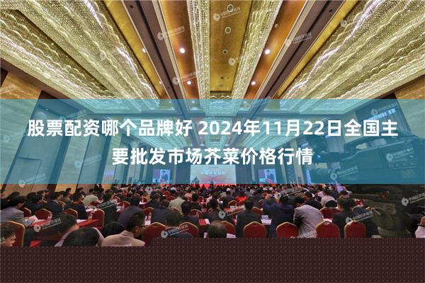 股票配资哪个品牌好 2024年11月22日全国主要批发市场芥菜价格行情